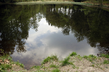 Similar image 7976063