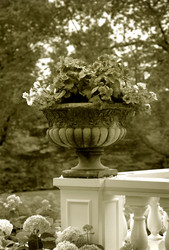 Similar image 7976074