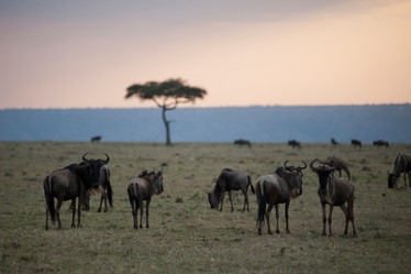 Similar image 7976079