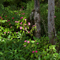 Similar image 7976082