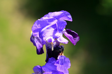 Similar image 7976084