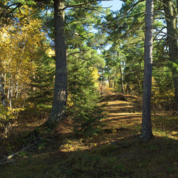 Similar image 7976087