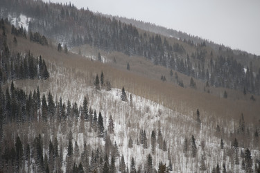 Similar image 7976096