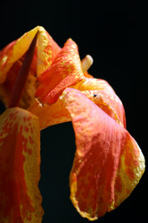 Similar image 7976097