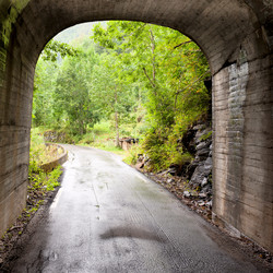 Similar image 7976103