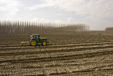 Similar image 7976108