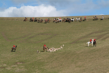 Similar image 7976109