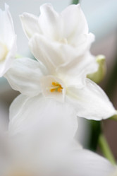 Similar image 7976118