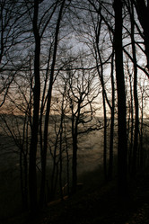 Similar image 7976123