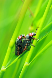 Similar image 7976125