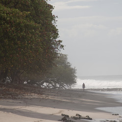 Similar image 7976127