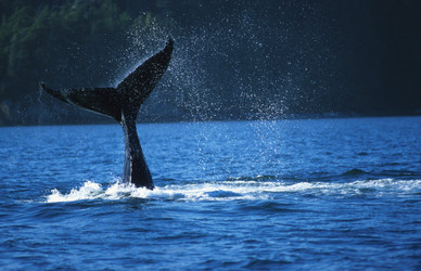 Similar image 7976134