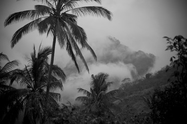 Similar image 7976137