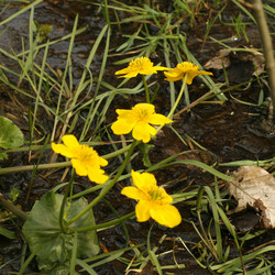 Similar image 7976140