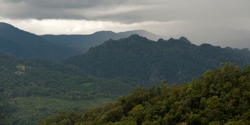 Similar image 7976153