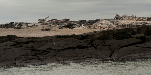 Similar image 7976159