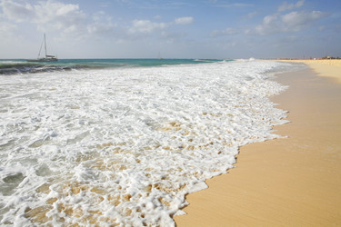 Similar image 7976161