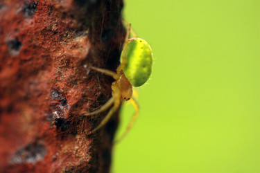 Similar image 7976170