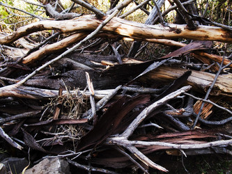 Similar image 7976171