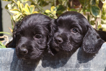 Similar image 7976174