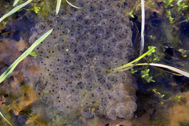 Similar image 7976176