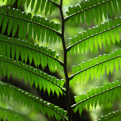 Similar image 7976188