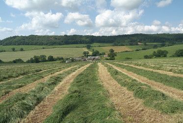 Similar image 7976189