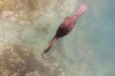 Similar image 7976192