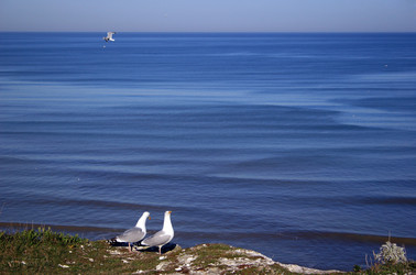 Similar image 7976196