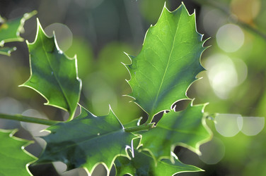 Similar image 7976201