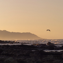 Similar image 7976202