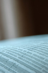 Similar image 7976204