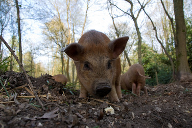 Similar image 7976222