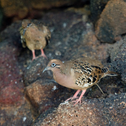 Similar image 7976225