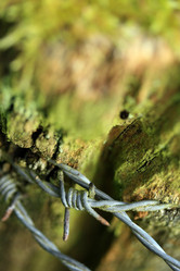 Similar image 7976228