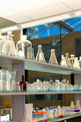 Similar image 7976230