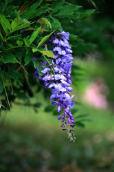 Similar image 7976232