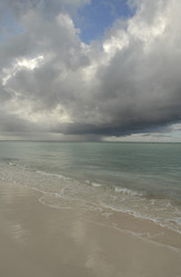 Similar image 7976238