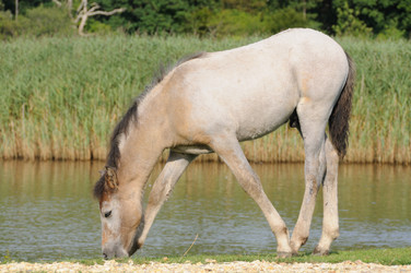 Similar image 7976241