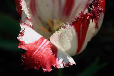 Similar image 7976242