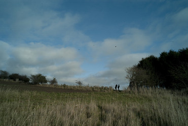 Similar image 7976244