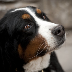 Similar image 7976245