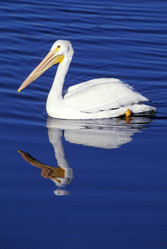 Similar image 7976261