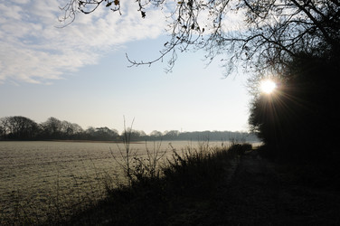 Similar image 7976263