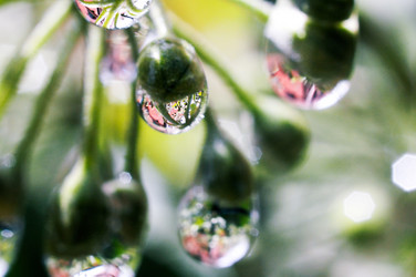 Similar image 7976270