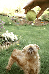 Similar image 7976276