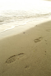 Similar image 7976277