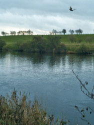 Similar image 7976290