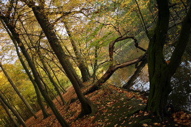 Similar image 7976305