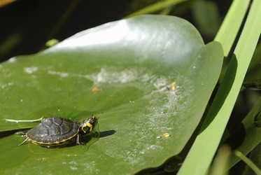 Similar image 7976307